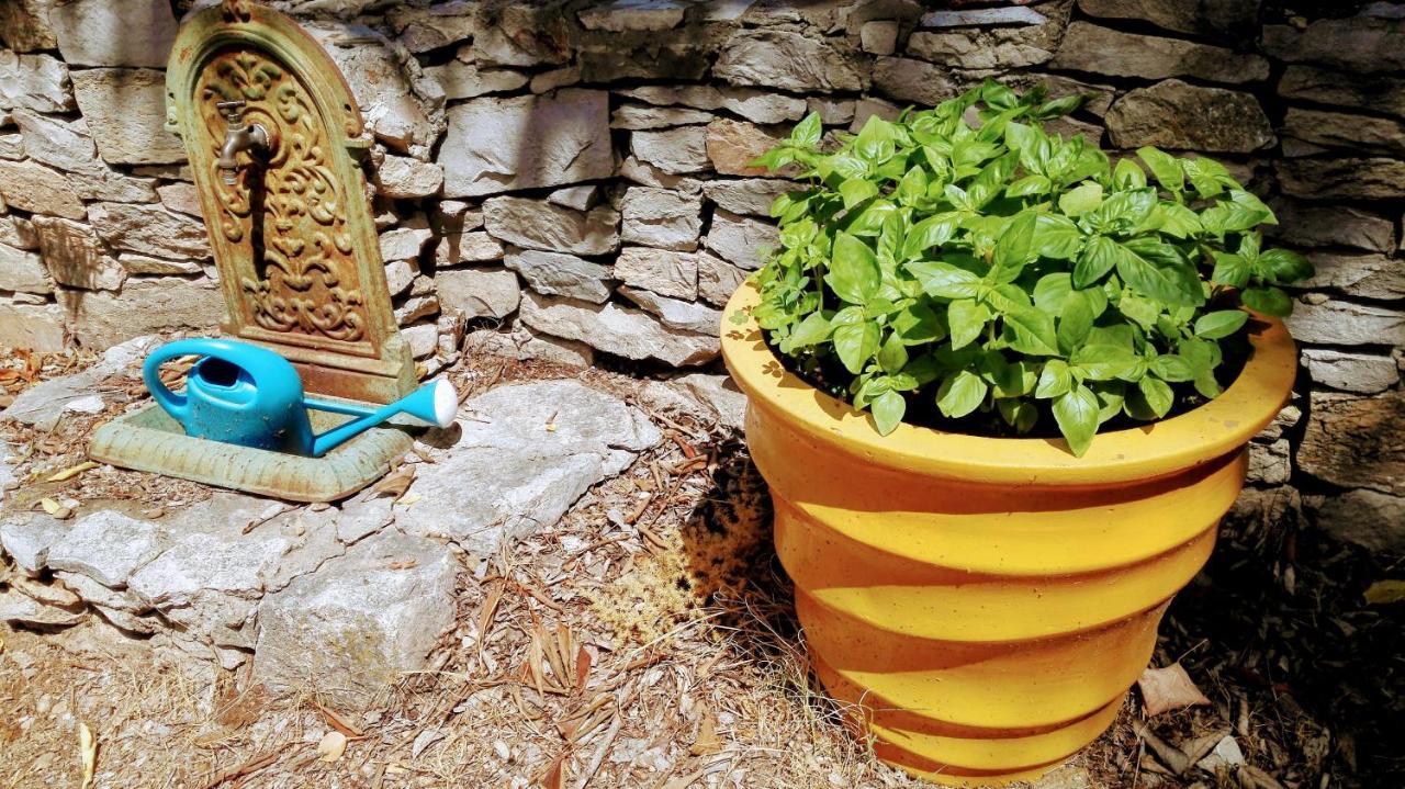 Nimes En Garrigues Bed & Breakfast Eksteriør bilde